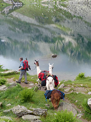 Lama-portage