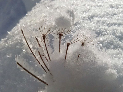 Randonnée raquette à neige journée - Etude manteau neigeux