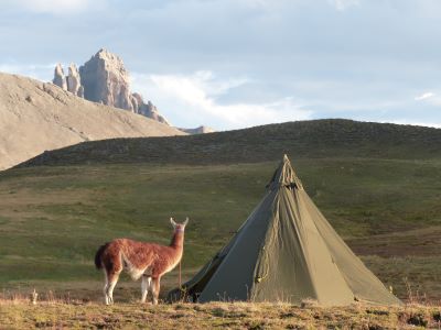 Voyage à Pied Léger Autonomie Lama De Portage Redim