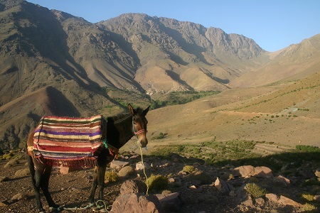 « Ethnotrek » dans les villages du Haut Atlas marocain
