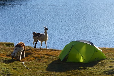 Rando bivouac dépaysement avec les lamas 